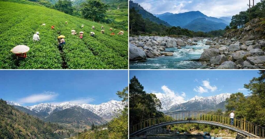 Best Places to Visit in Palampur
