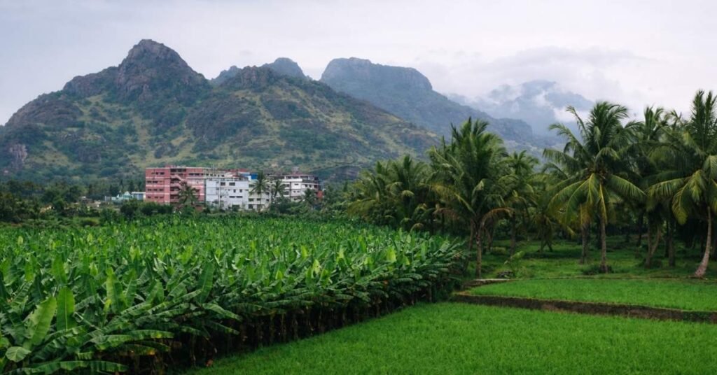 20 Best Places to Visit in Nagercoil The Ultimate 2026 Travel Guide