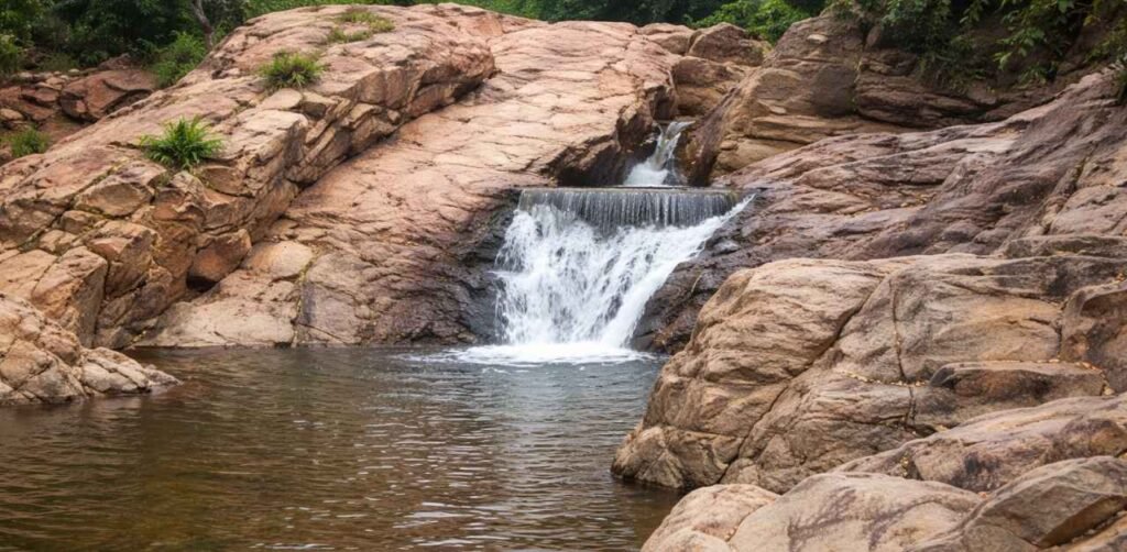 Amirthi Zoological Park