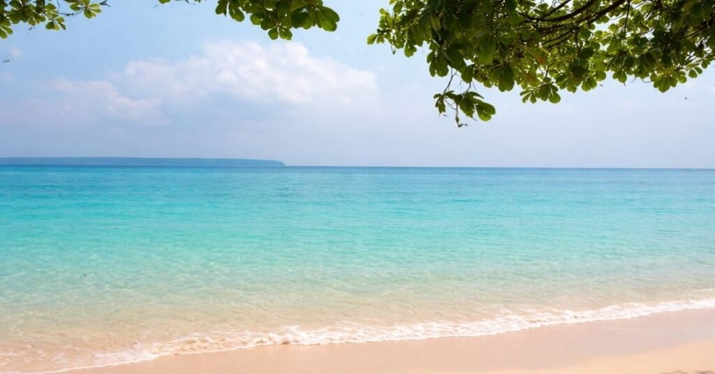 Bharatpur Beach vs. Laxmanpur Beach