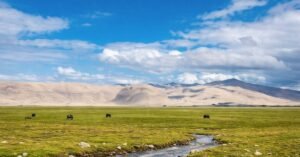 Chushul Village The Ultimate Travel Guide to Ladakh’s Border Wonder (3)