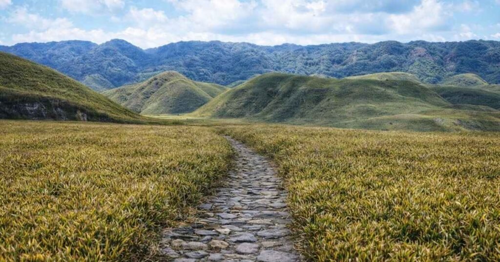 Best Time to Visit Dzukou Valley