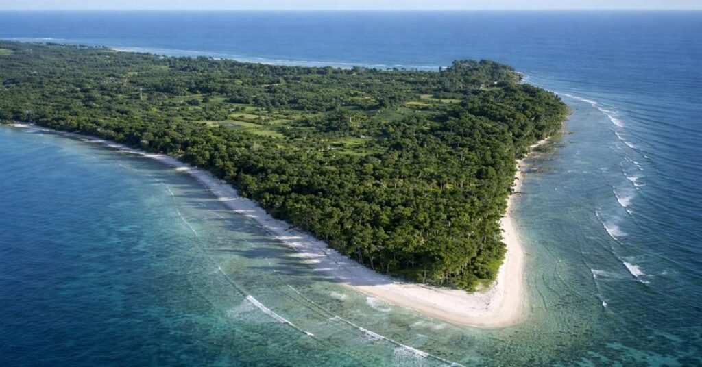 Top Things to Do at Laxmanpur Beach