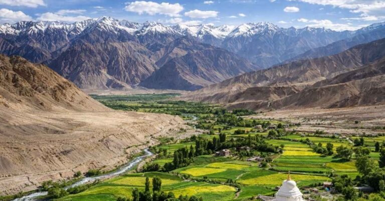 Likir Monastery: Your Complete Guide to Ladakh’s Golden Buddha