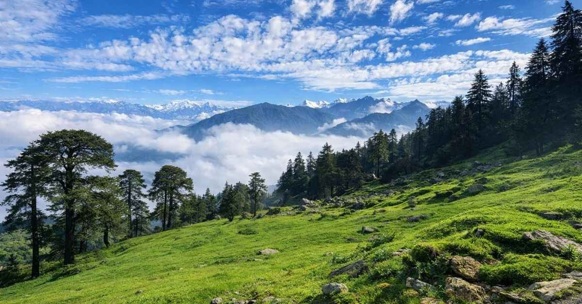 things to do in chopta