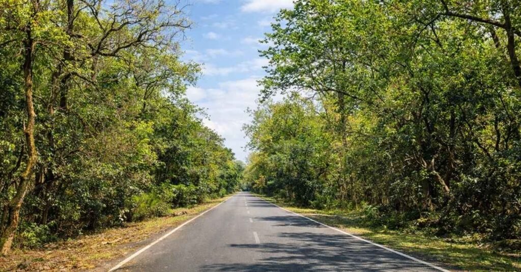 how to reach Kainchi Dham from Haldwani by road