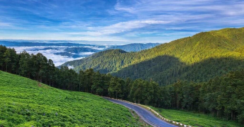 jibhi distance from delhi