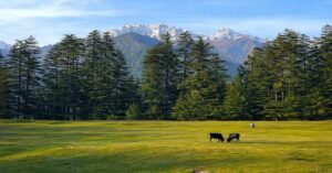 jibhi distance from delhi