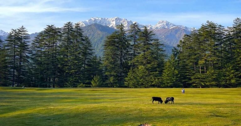 jibhi distance from delhi