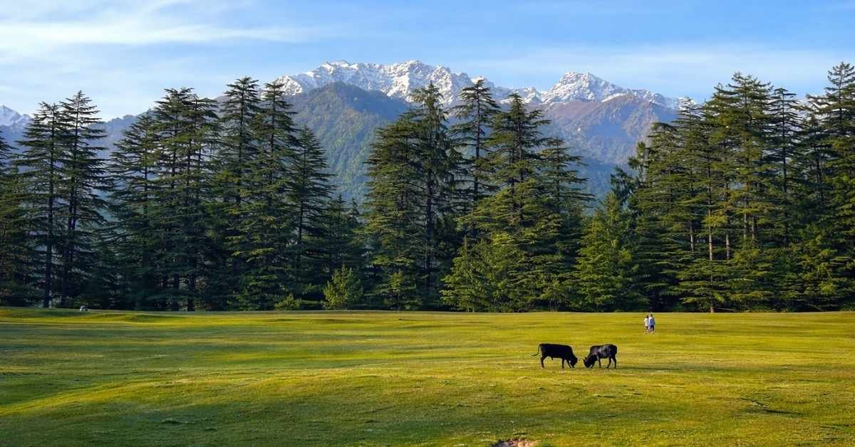 jibhi distance from delhi