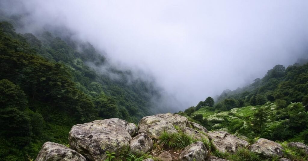 How to Reach Jibhi Tirthan Valley