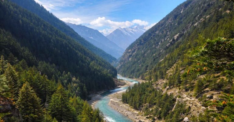 delhi to harsil valley distance