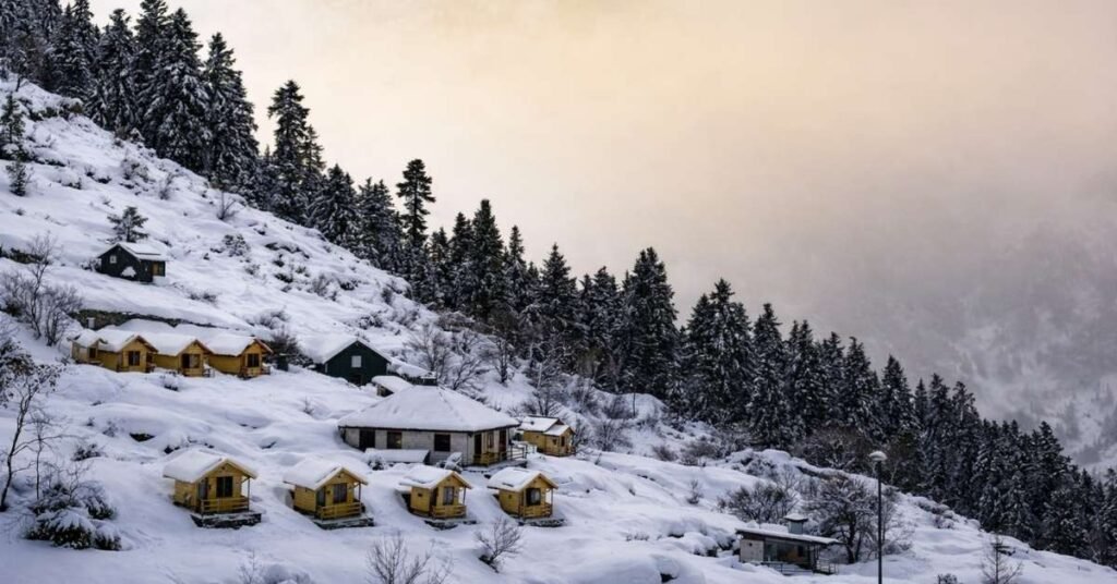 best time to visit auli