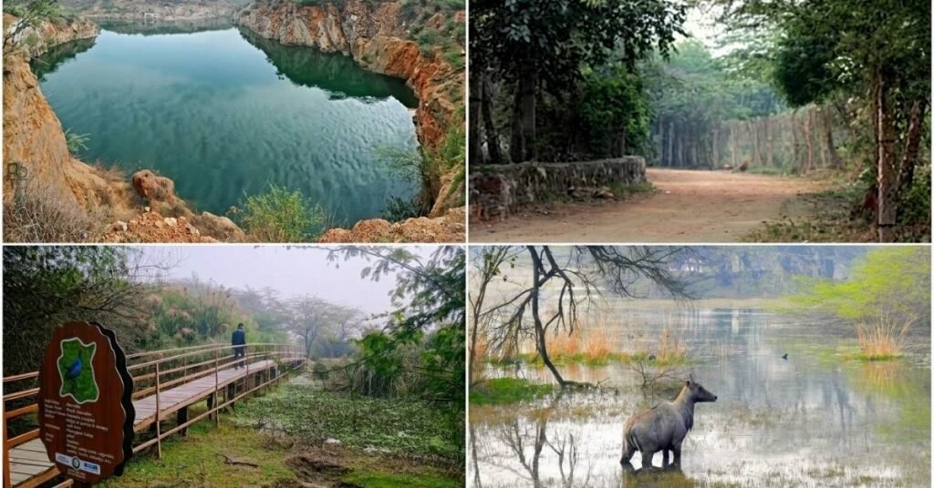 tourist places near delhi within 50 kms