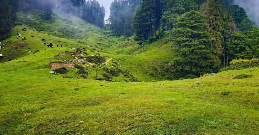  Delhi to Chakrata