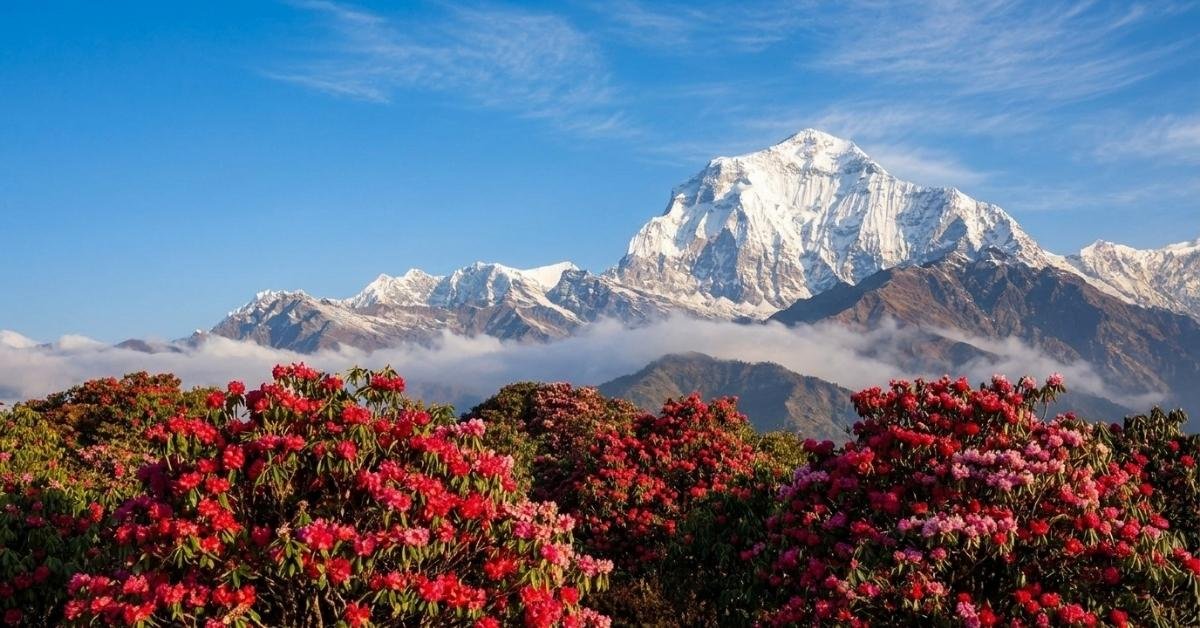 best mountain places in india