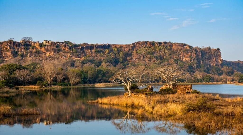 things to do in ranthambore