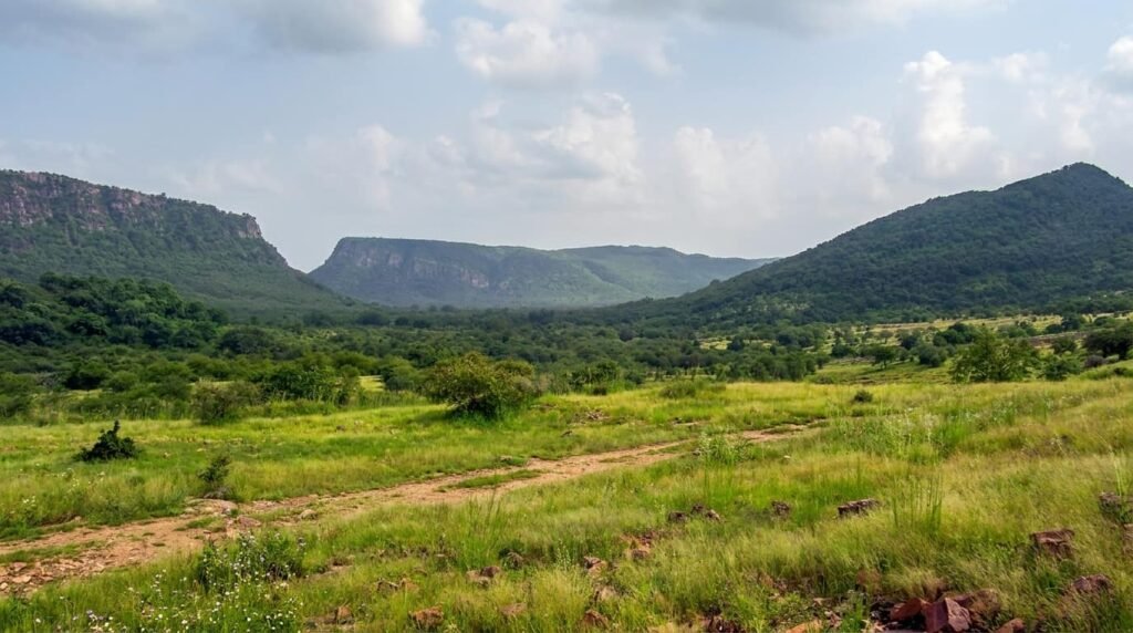 things to do in ranthambore