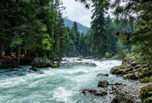srinagar to pahalgam